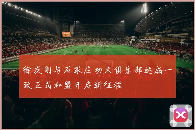 徐友刚与石家庄功夫俱乐部达成一致正式加盟开启新征程