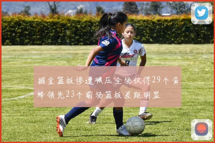 掘金篮板惨遭碾压全场仅得29个黄蜂领先23个前场篮板差距明显