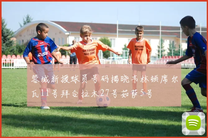 蓉城新援球员号码揭晓韦林顿席尔瓦11号拜合拉木27号茹萨5号