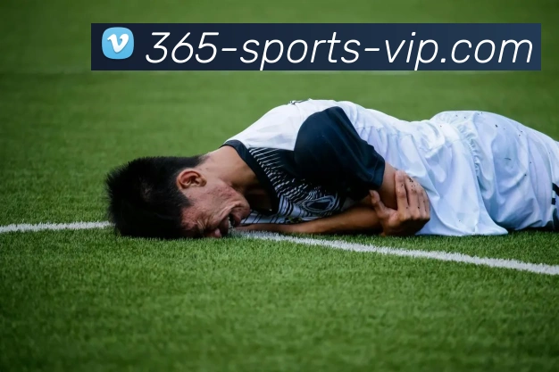 Bet365官网服务体系